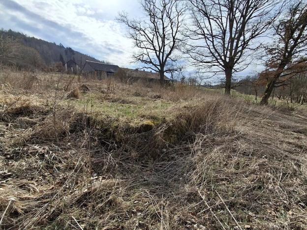 Prodej pozemku pro bydlení, Milíkov, 4644 m2