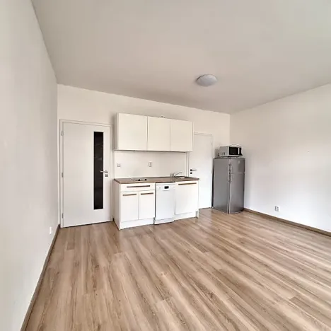 Pronájem bytu 1+kk, Praha - Bubeneč, U zeměpisného ústavu, 26 m2