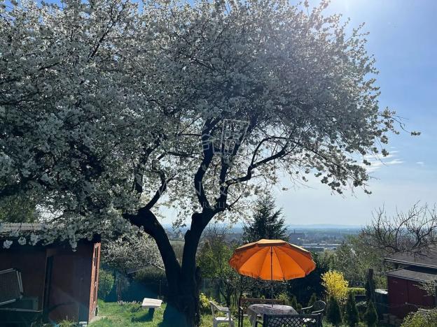 Prodej chaty, Kutná Hora, 20 m2