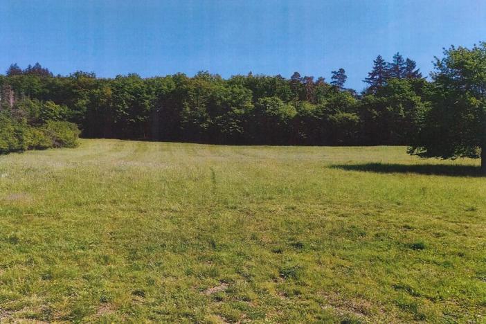 Dražba pozemku, Vohančice, 14258 m2