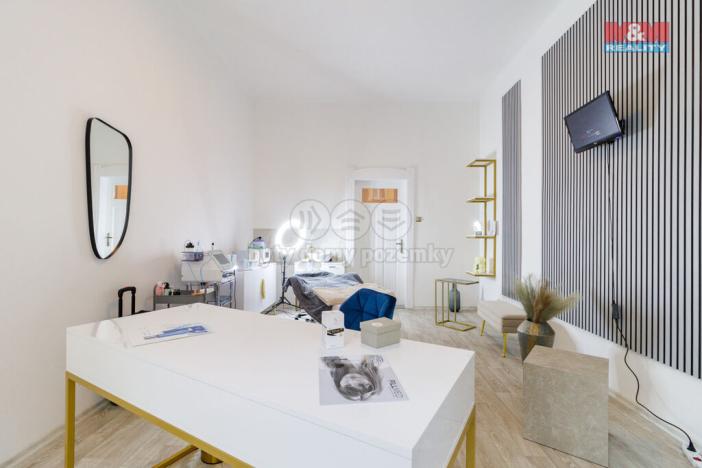 Pronájem obchodního prostoru, Plzeň - Vnitřní Město, Perlová, 50 m2