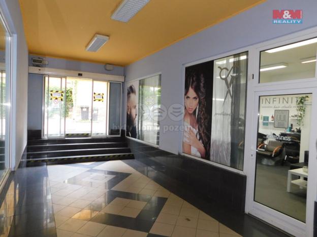 Pronájem obchodního prostoru, Cheb, Svobody, 260 m2