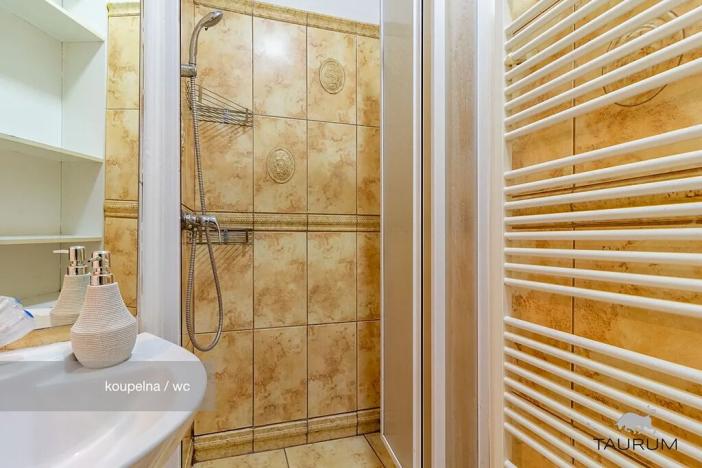 Prodej bytu 2+kk, Plzeň, Lipová, 60 m2