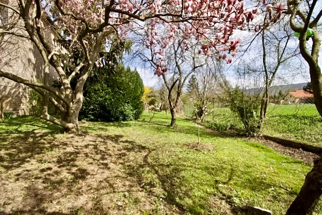 Prodej rodinného domu, Ronov nad Doubravou, Svatokřížská, 200 m2