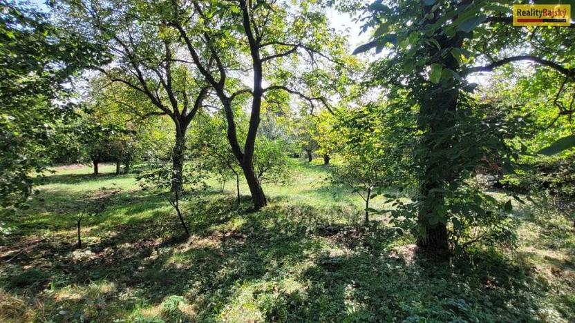 Prodej pozemku pro bydlení, Chotilsko, 2469 m2