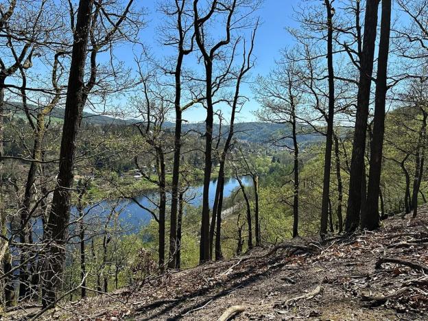 Prodej chaty, Štěchovice, 170 m2