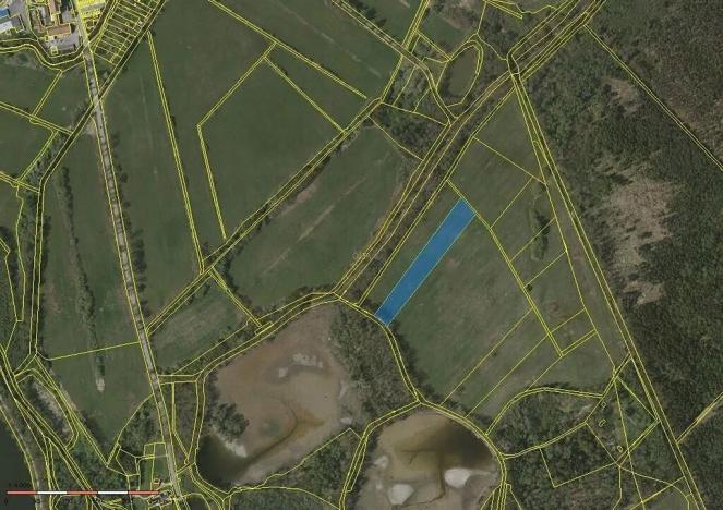 Prodej pole, Třeboň, 7515 m2