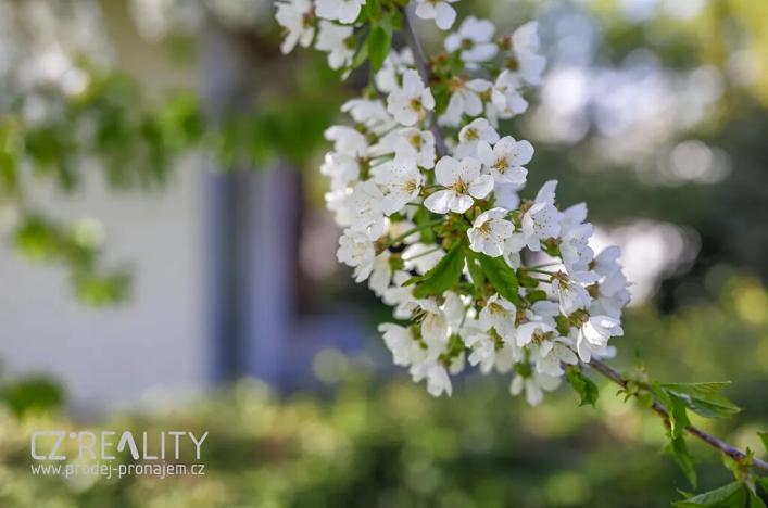 Prodej rodinného domu, Praha - Lipence, Na Bambouzku, 308 m2