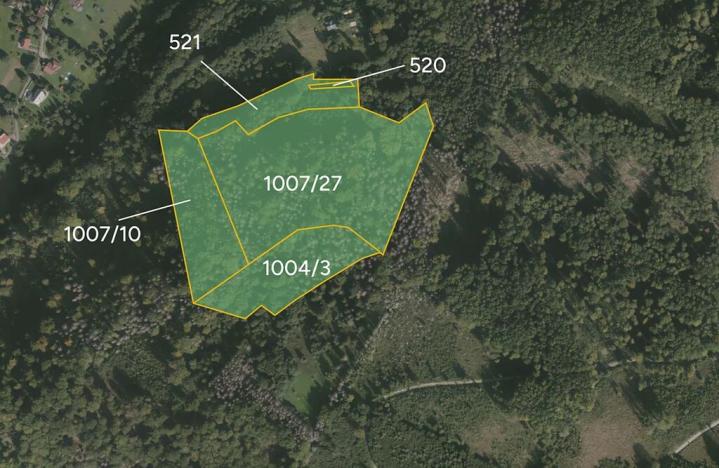 Prodej lesa, Třinec, 70011 m2