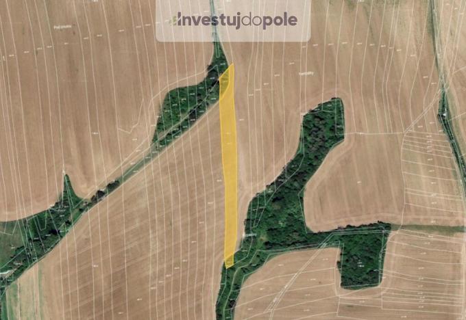 Prodej pole, Zborovice - Medlov, 5441 m2