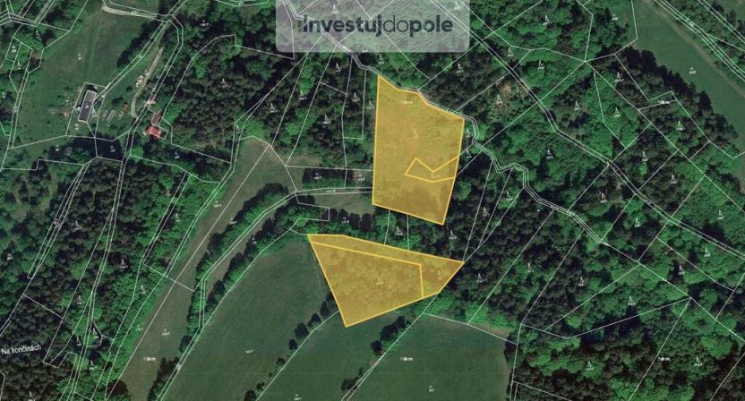 Prodej lesa, Vysoké nad Jizerou - Helkovice, 9892 m2
