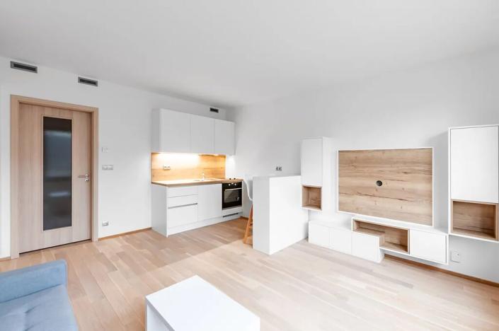 Pronájem bytu 1+kk, Praha - Vysočany, Bassova, 34 m2