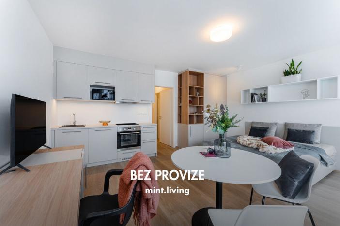 Pronájem bytu 1+kk, Plzeň - Skvrňany, Františka Kováříka, 40 m2
