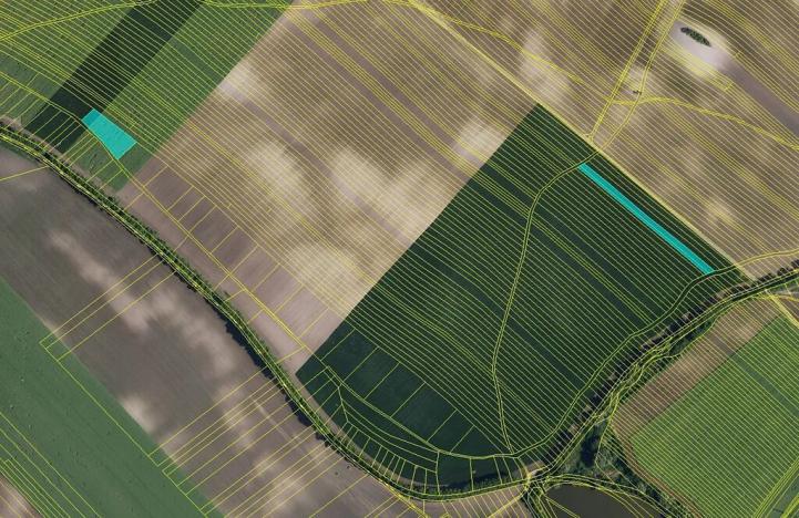 Prodej pole, Šitbořice, 16991 m2