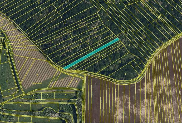 Prodej pole, Šitbořice, 16991 m2