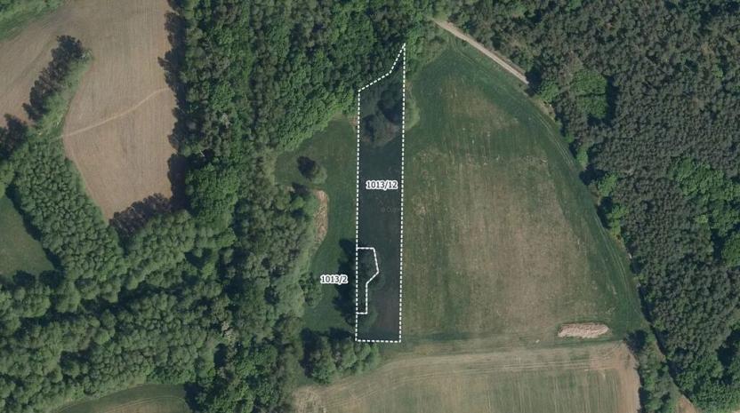 Prodej louky, Lázně Bohdaneč, 4849 m2