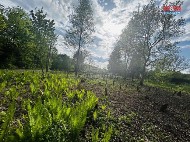 Prodej pozemku pro bydlení, Orlová, Bezručova, 830 m2