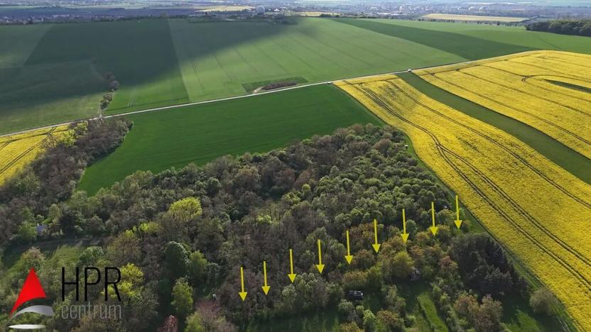 Prodej zahrady, Hostěrádky-Rešov, 980 m2