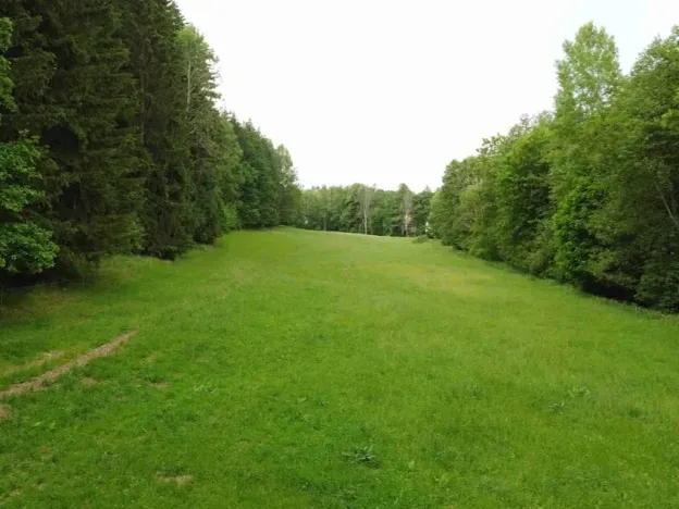 Dražba louky, Chotěvice, 8782 m2