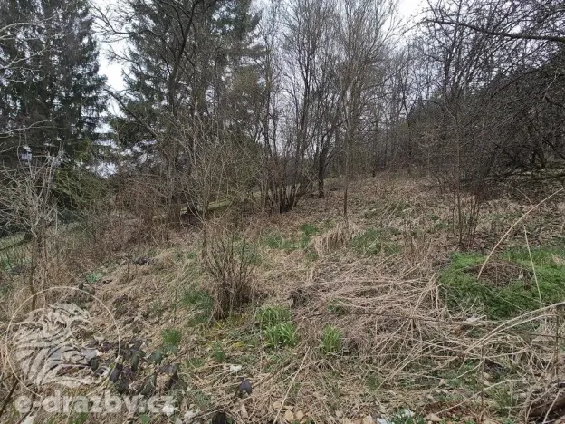 Dražba pozemku pro bydlení, Vsetín, 814 m2