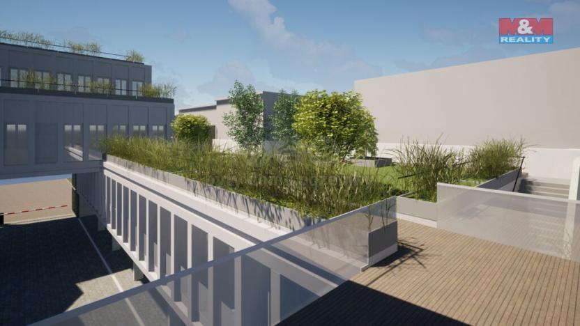 Pronájem obchodního prostoru, Opava - Město, Masarykova třída, 80 m2