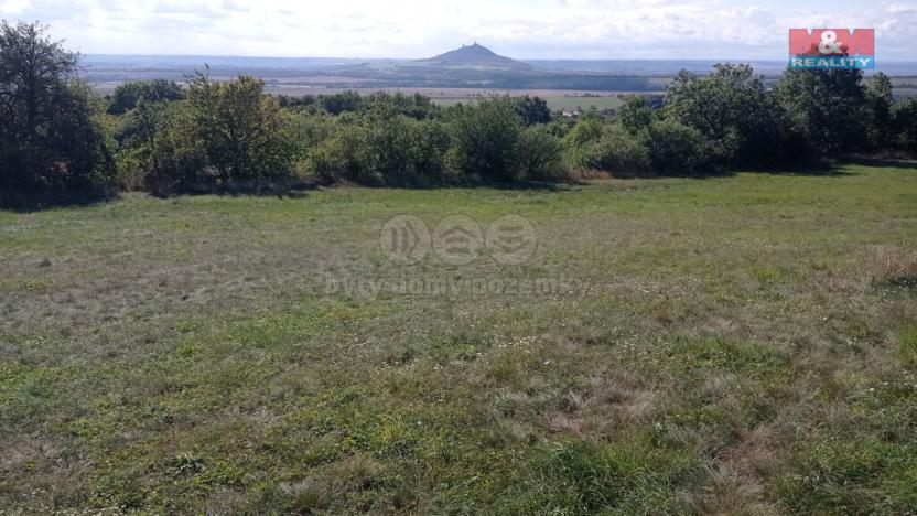 Prodej louky, Jenčice, 13227 m2