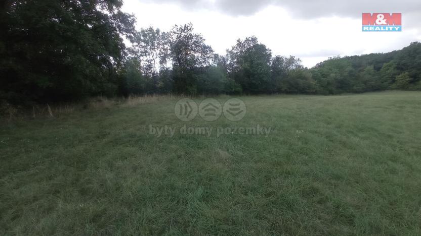 Prodej louky, Jenčice, 12373 m2