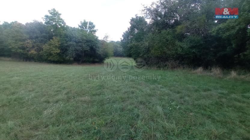 Prodej louky, Jenčice, 12373 m2