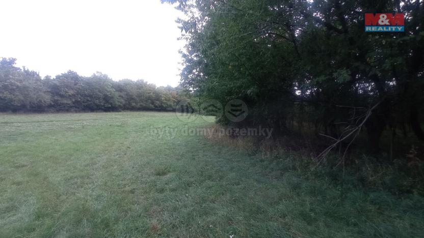 Prodej louky, Jenčice, 12373 m2