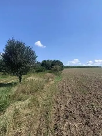 Dražba pole, Polepy, 8000 m2