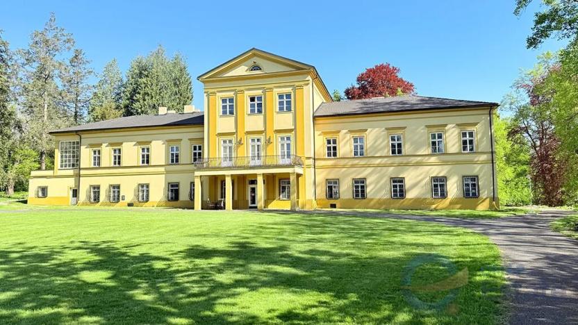 Prodej domu, Holasovice, 3764 m2
