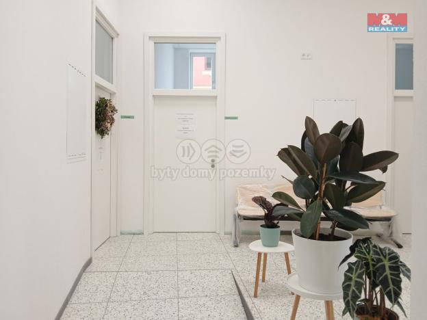 Pronájem obchodního prostoru, Opava - Město, Masarykova třída, 60 m2