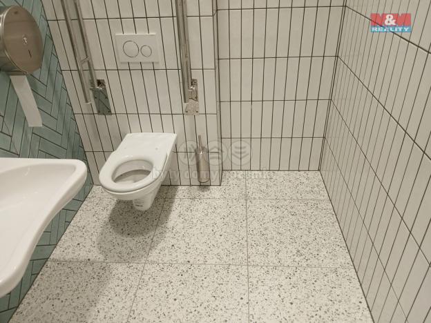 Prodej obchodního prostoru, Opava - Město, Masarykova třída, 120 m2