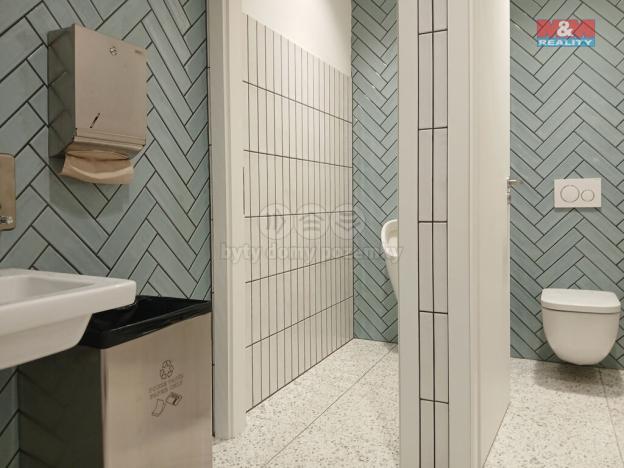 Prodej obchodního prostoru, Opava - Město, Masarykova třída, 50 m2