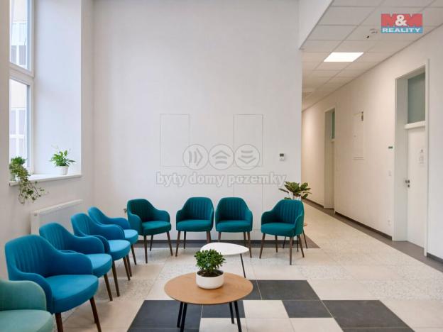 Prodej obchodního prostoru, Opava - Město, Masarykova třída, 20 m2