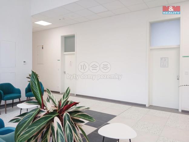 Prodej obchodního prostoru, Opava - Město, Masarykova třída, 200 m2