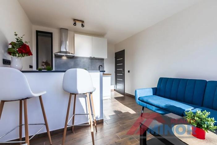 Pronájem bytu 3+kk, Slaný, Vikova, 42 m2
