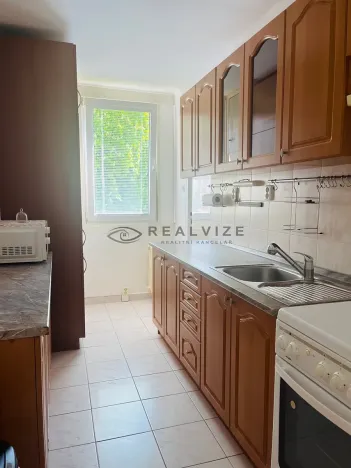 Pronájem bytu 3+1, České Budějovice, L. M. Pařízka, 62 m2