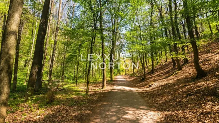 Prodej rodinného domu, Praha - Kunratice, Na Knížce, 420 m2