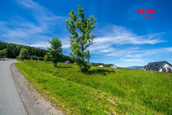 Prodej pozemku pro bydlení, Červená Voda, 1251 m2