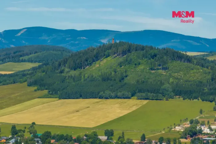 Prodej pozemku pro bydlení, Červená Voda, 1251 m2