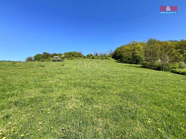 Prodej louky, Malšovice - Hliněná, 21830 m2