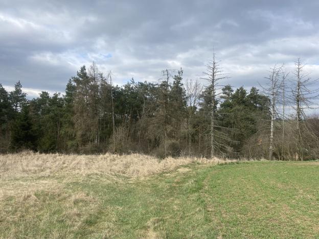 Prodej lesa, Slavičky - Pozďátky, 2084 m2