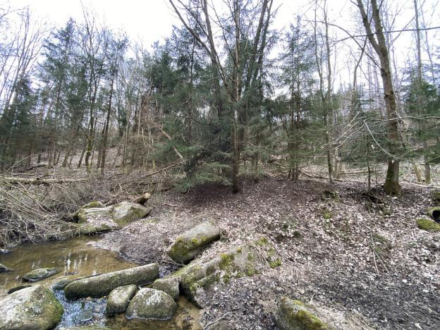 Prodej pozemku, Slavičky - Pozďátky, 580 m2