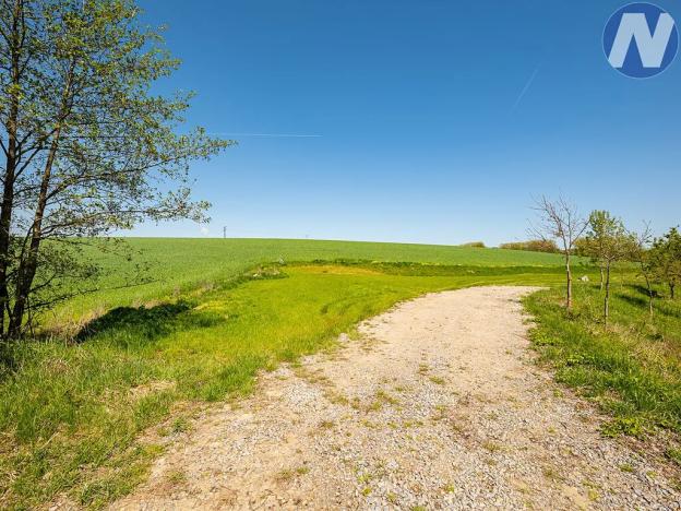 Pronájem louky, Olešník, 1256 m2