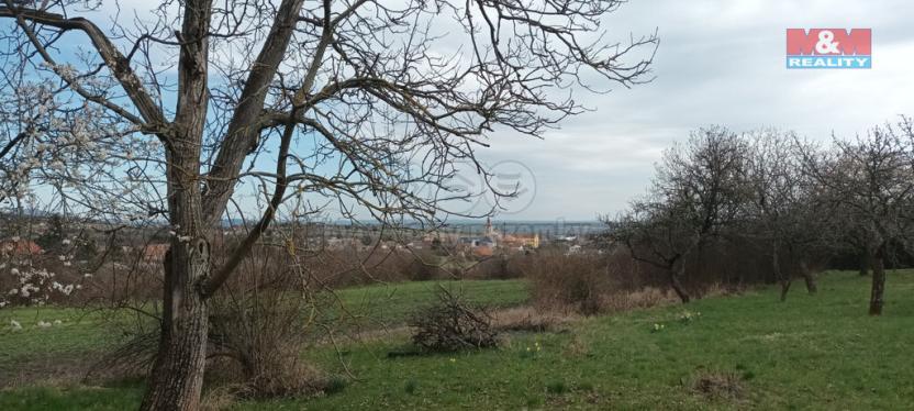 Prodej pole, Třebenice, 912 m2