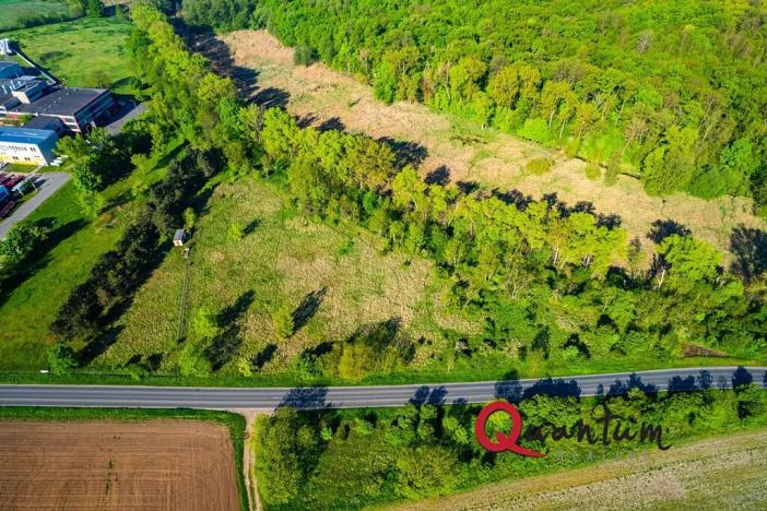 Prodej komerčního pozemku, Tišice, Mělnická, 6186 m2