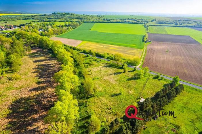 Prodej komerčního pozemku, Tišice, Mělnická, 6186 m2