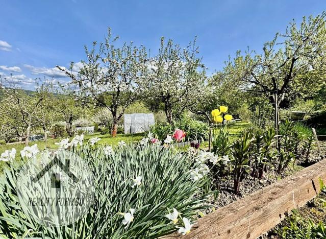 Prodej chaty, Železný Brod, 35 m2