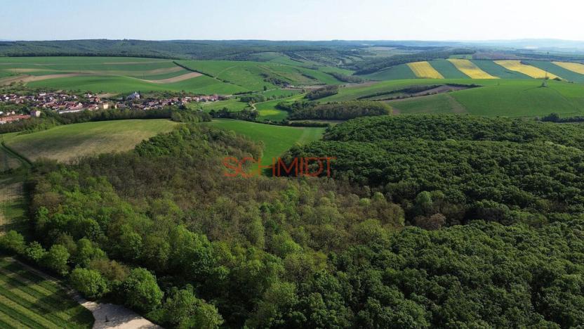 Prodej lesa, Velké Hostěrádky, 846 m2
